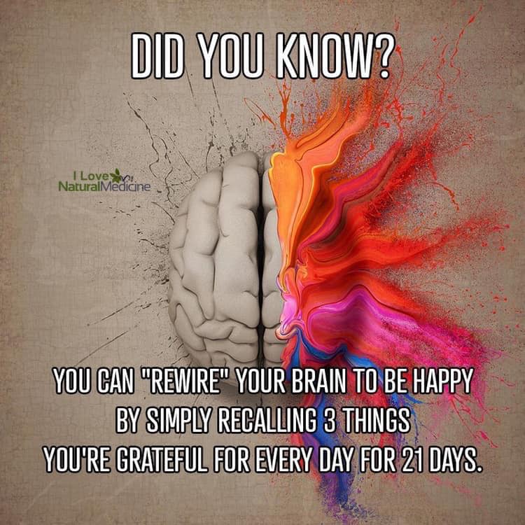 DaysGratitude's tweet photo. #DaysofGratitude #ThursdayThoughts #DidYouKnow https://t.co/CAYVTGJECF