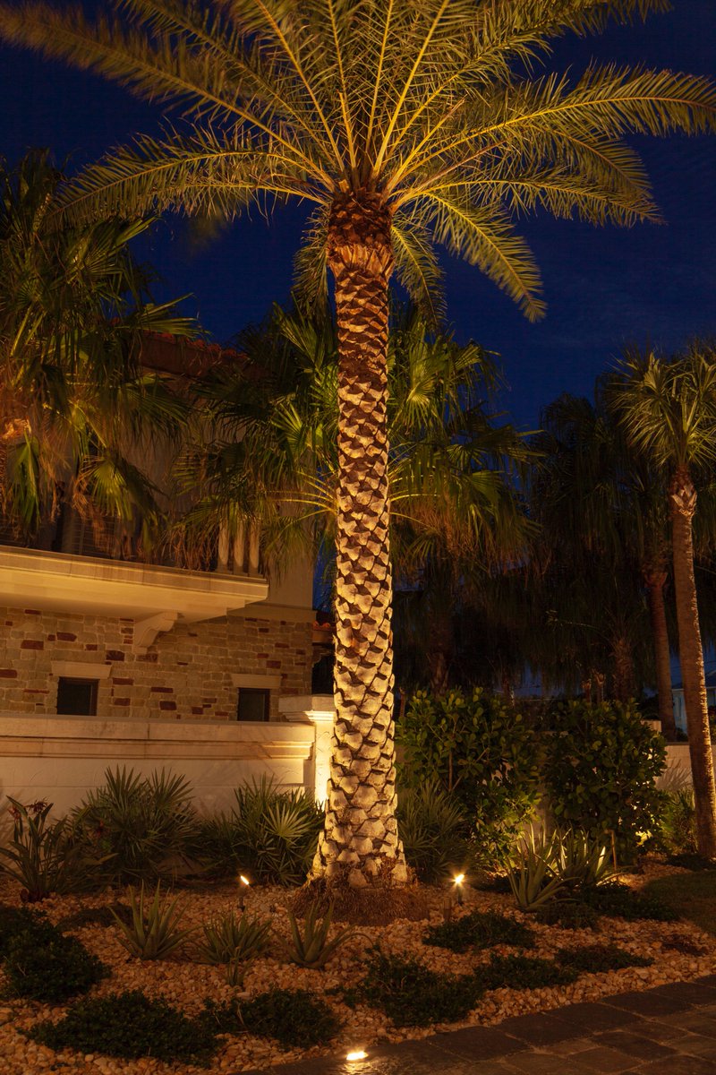 GardenLightLED's tweet image. The ⚡️POWER⚡️ of Garden Light LED Magnificent S2 Fixtures!!!

Call TODAY to get a quote

#plantlife #LEDLandscape #Outdoorlighting #Clearwater