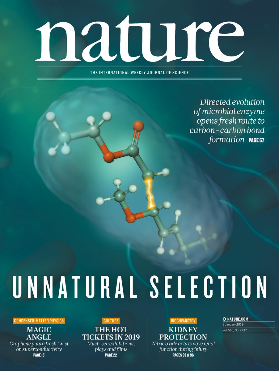 Nature on Twitter: "On the Nature cover this week: Unnatural selection. Directed evolution of microbial enzyme opens fresh route to carbon-carbon bond formation. https://t.co/9EH2CB7kqc https://t.co/rTf5zmDEnt" / Twitter