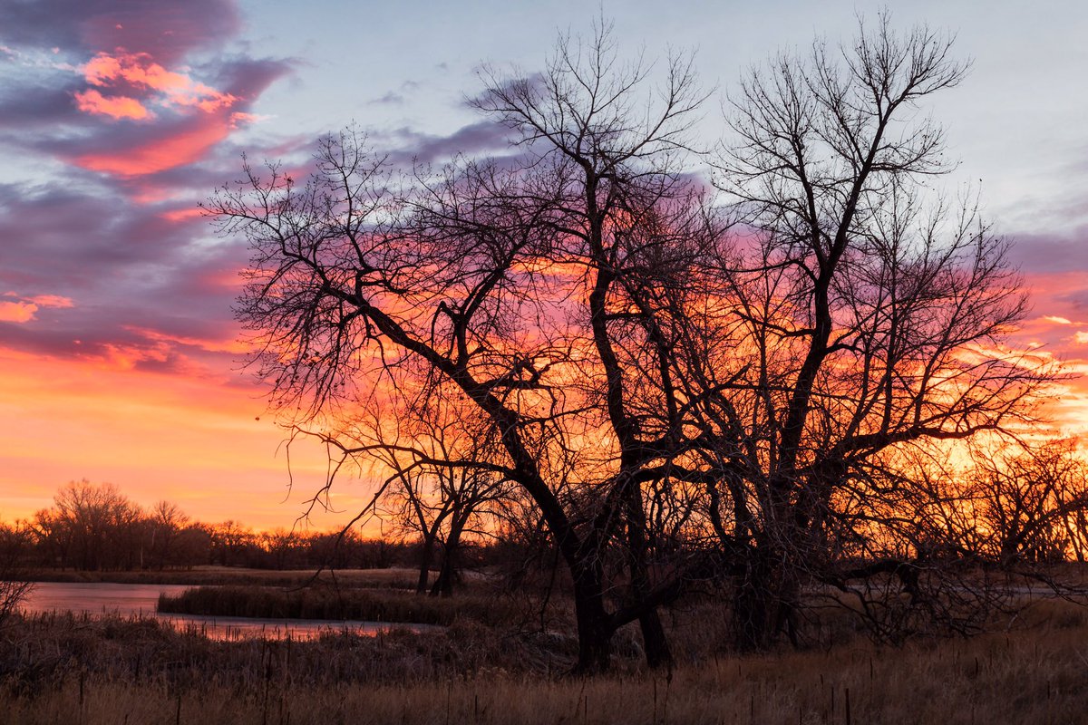 Colorado's tweet photo. "@mnryno34: Colorful Colorado Sunrise. #Colorado" https://t.co/RZkLD4JYym