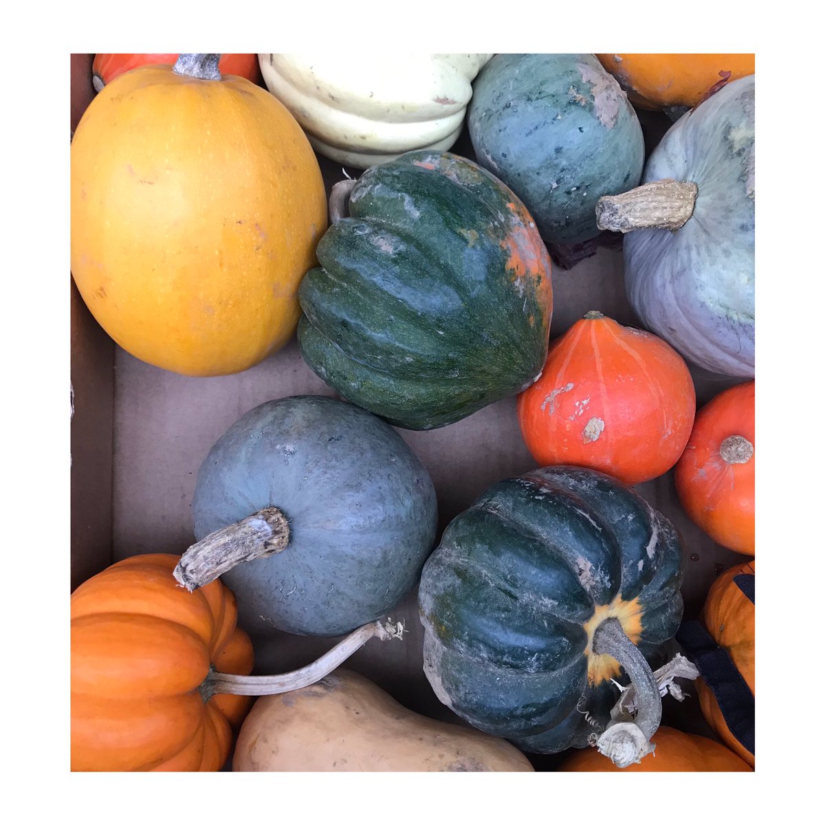 New Year, new produce.... 🌱 
We’re launching a vegan set menu for January, commencing Monday 7th!
.
#mgpldn #heddonstreet #mayfair #westend #centrallondonrestaurant #vegan #eatmoreveg