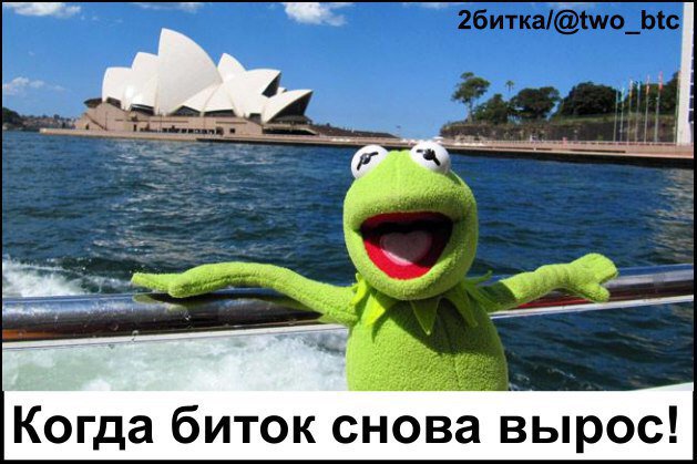 VTuliakov's tweet image. Превосходно