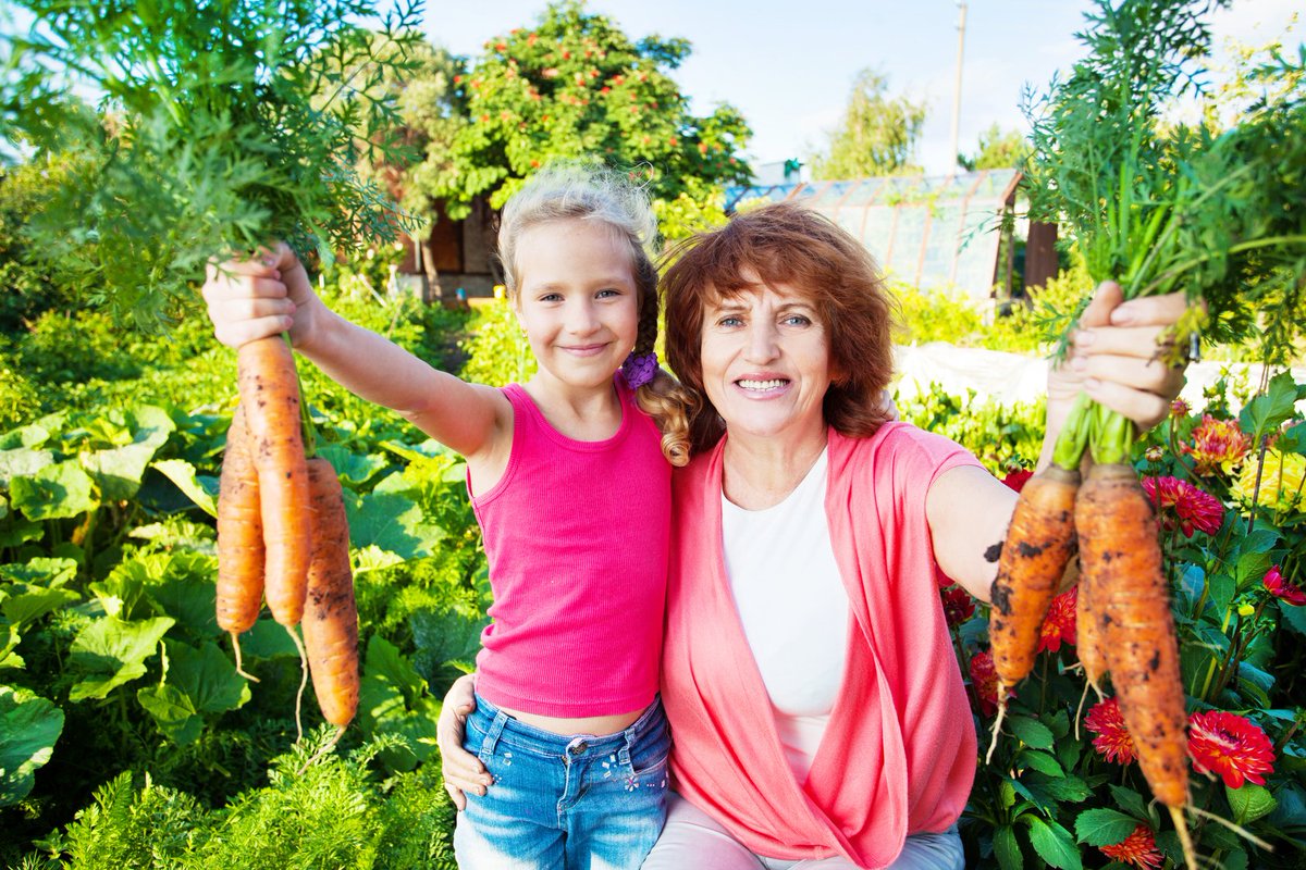 findlocalfood's tweet photo. A #SchoolVegPatch can help build a #FoodCommunity & include lonely old people with growing & #Cooking skills #HealthySchools. Teach kids about #FoodHealth #Cooking #Nutrition #HealthySchools @RHSSchools @stmtweet @UKsustaincrucial life skills https://t.co/oA5vdm1PSR https://t.co/cZzyAQcKGt