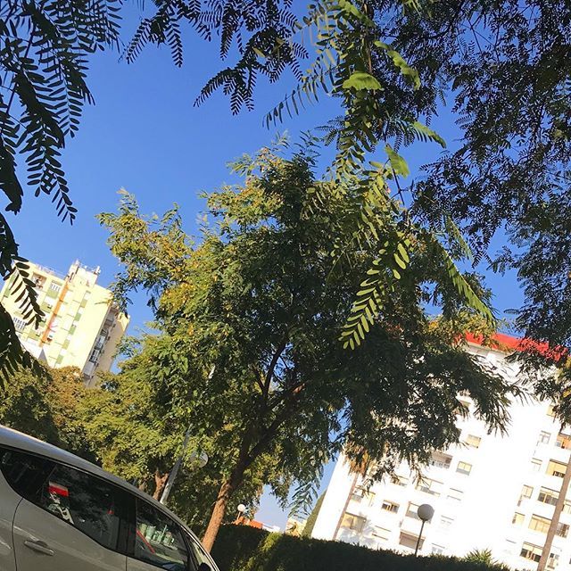 JMLechuga's tweet photo. El sol en Sevilla es una maravilla #EnInvierno https://t.co/UVt9utrGbA