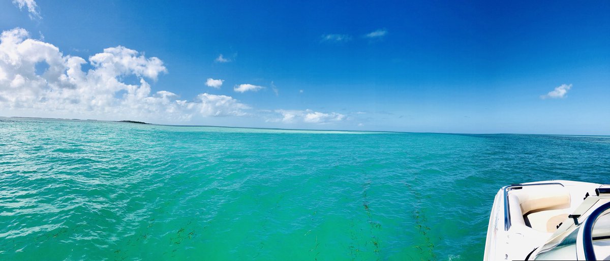ShineTribe's tweet photo. Nothin’ but blue. The Gulf Of Mexico. #Boating #FLKeys #FloridaKeys #TropiGal #ThursdayMotivation https://t.co/aKq76LacdL