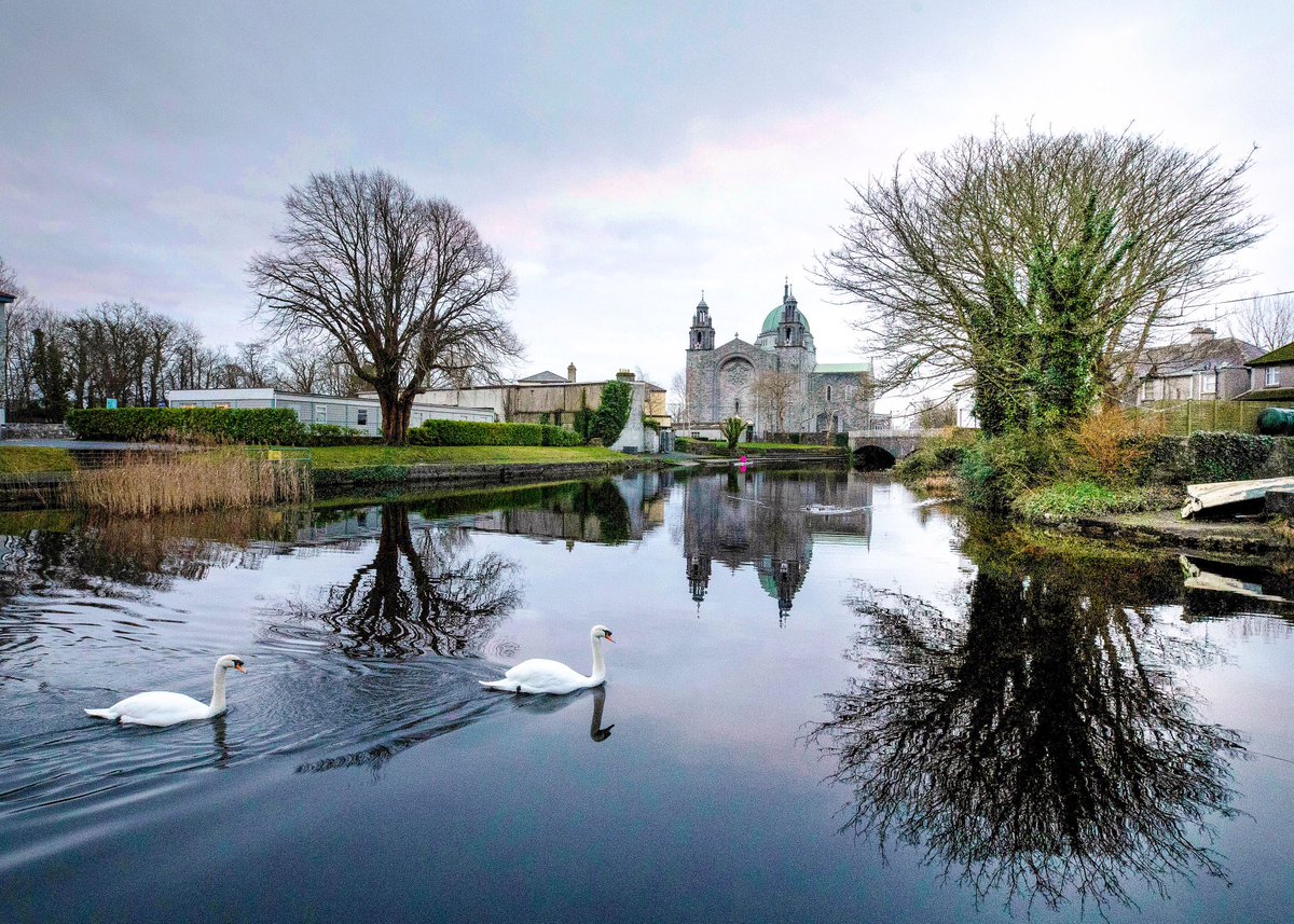 TheresaTayler's tweet image. Galway swans 🦢 .
.
.
.
#canon #canonphotography #canon5dmarkiv #galway #galwayireland #ireland #irelandtravel #travelireland #discoverireland #irish #galwaybay #travel #landscape #landscapephotography #cityscape #swans #travelphotography #travelgram