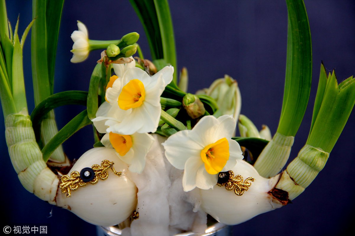 download religion and empiricism aquinas lecture