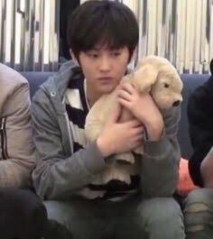 ง่อนง่อน tweet media