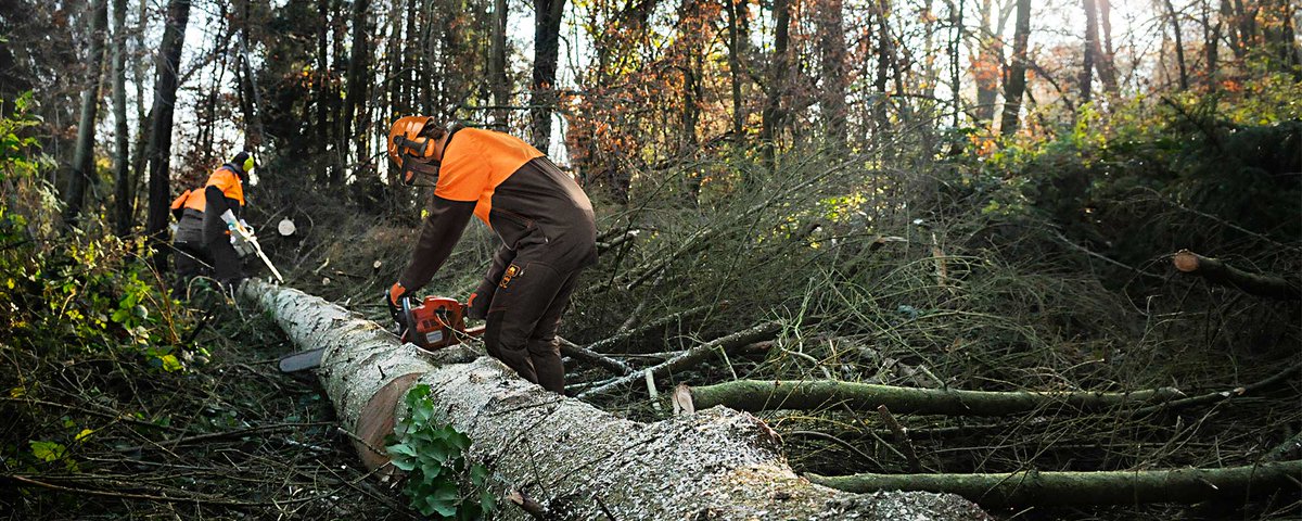 sioenindustries's tweet photo. Let's kickstart the new year! Our brand SIP Protection attending Groene Sector Vakbeurs, 15-17 January in Hardenberg (NL)
#sioentalent #sipprotection #forestry #arboriculture #basepro #greentecstyle #sioenfairs #sioeneverywhere
https://t.co/dPUePkuQ5Y https://t.co/9TKC1AT9pl
