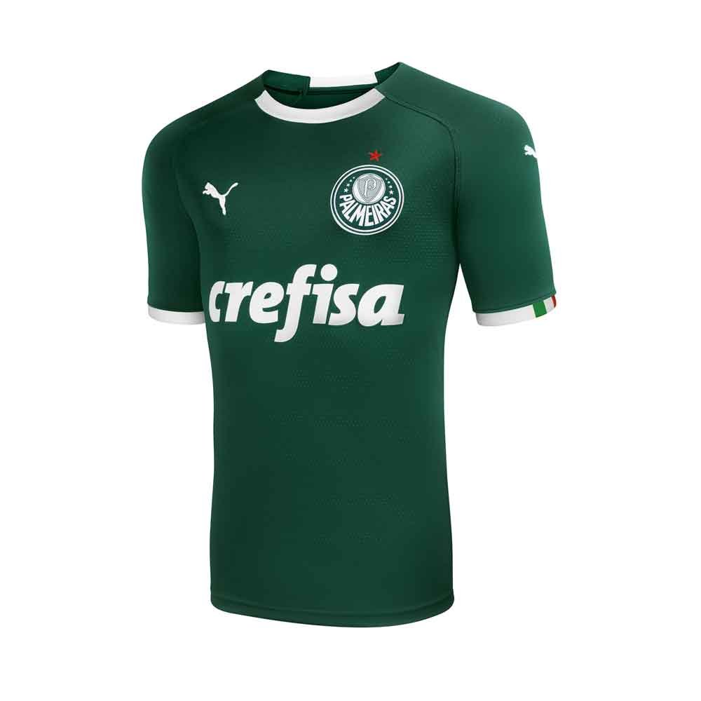 palmeiras puma venda