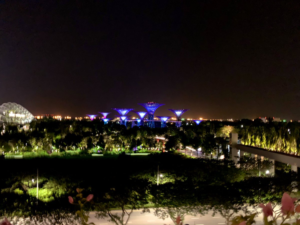 dxvid's tweet photo. One of my favorite cities. New and busy day tomorrow! Good night 🏙 https://t.co/vLR12eq6Nw