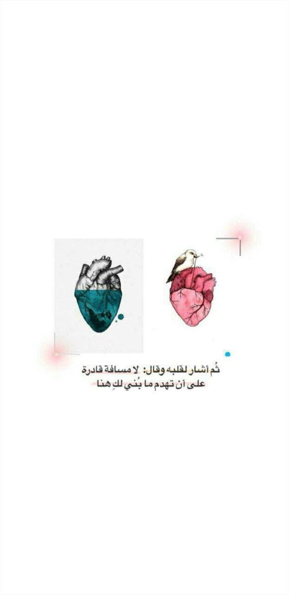 l1s1l's tweet photo. https://t.co/2DoZNUhqPD