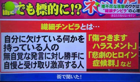 ネット炎上騒ぎの多くの理由はコレだったのか！繊細チンピラって言うらしいww