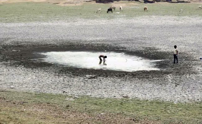 Drop beef and save millions of lives, cut emissions: World Economic Forum ndtv.com/world-news/dro…