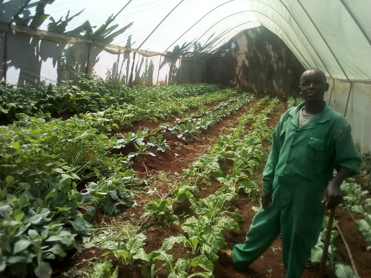 BeaconTechnical's tweet photo. JANUARY 2019 INTAKE IN PROGRESS
Start off your journey as an entrepreneur in Agriculture by enrolling for a Diploma, Certificate & Artisan courses in Agriculture at our Training Institute and see your dreams come true!
Call/WhatsApp/text 0726706331
#LearningforExcellence https://t.co/ASwLPAowlh