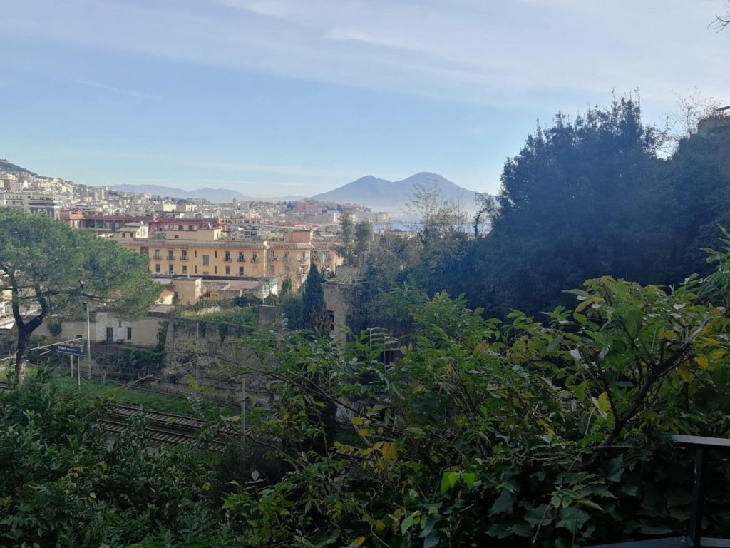 AlessioDoria's tweet photo. Sotto la pioggia. https://t.co/QZCHhmZ7XA https://t.co/Tp7Ud3V2kJ