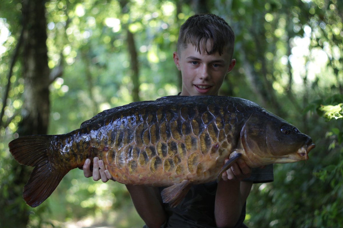 EPIC carp from the summer!!! #carp #fishing #carpfishing #howtofish #mirrorcarp #youtube #scalycarp #CarpeDiem #nashtackle #vasswaders