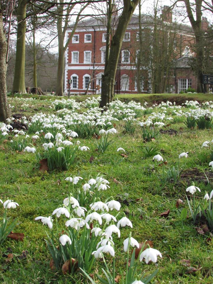 Lytham Hall tweet media