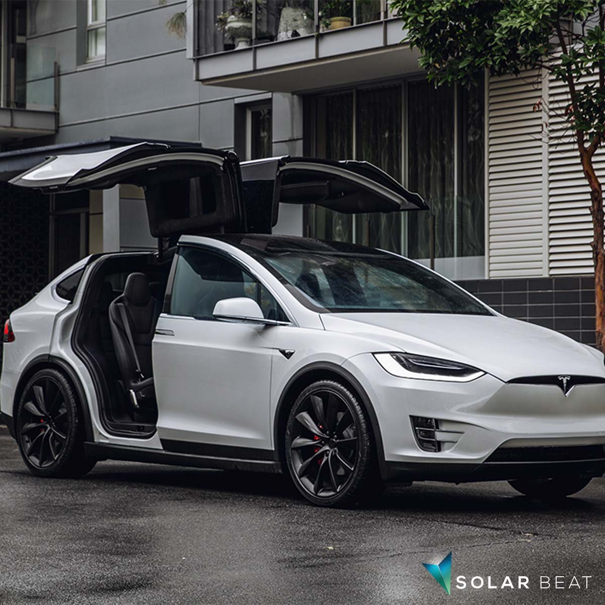 SolarBeatMx's tweet photo. 🍃VE de la semana
TESLA model x
#SolarBeat #electrifyAndDrive https://t.co/yt2EAgu2ZO