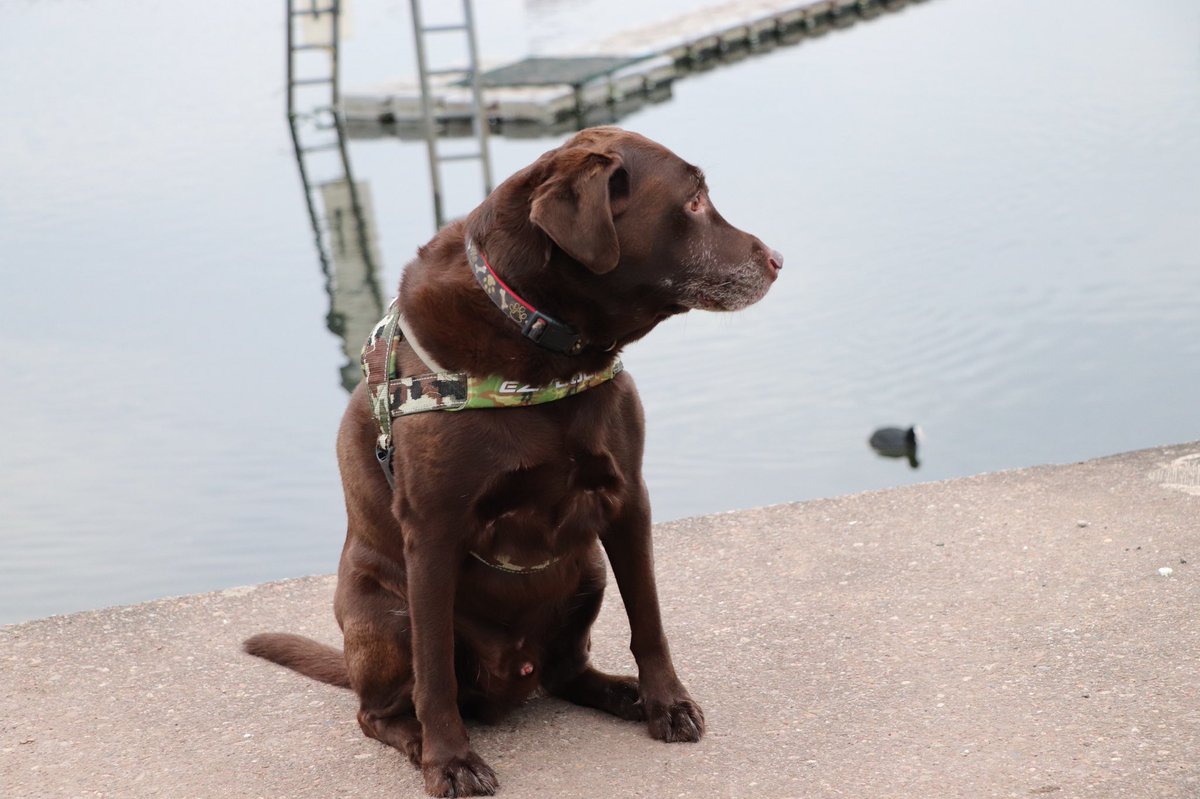 Are you sure it’s too cold for swimming? #ijustwanttoswim #itdoesntlookcold