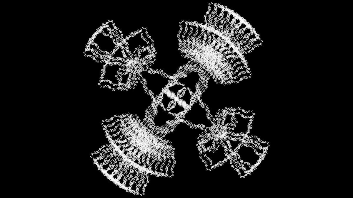 dedowsdi's tweet photo. playing with examples in algorithmic beauty of plant 1.3 https://t.co/UNpnobFKpX