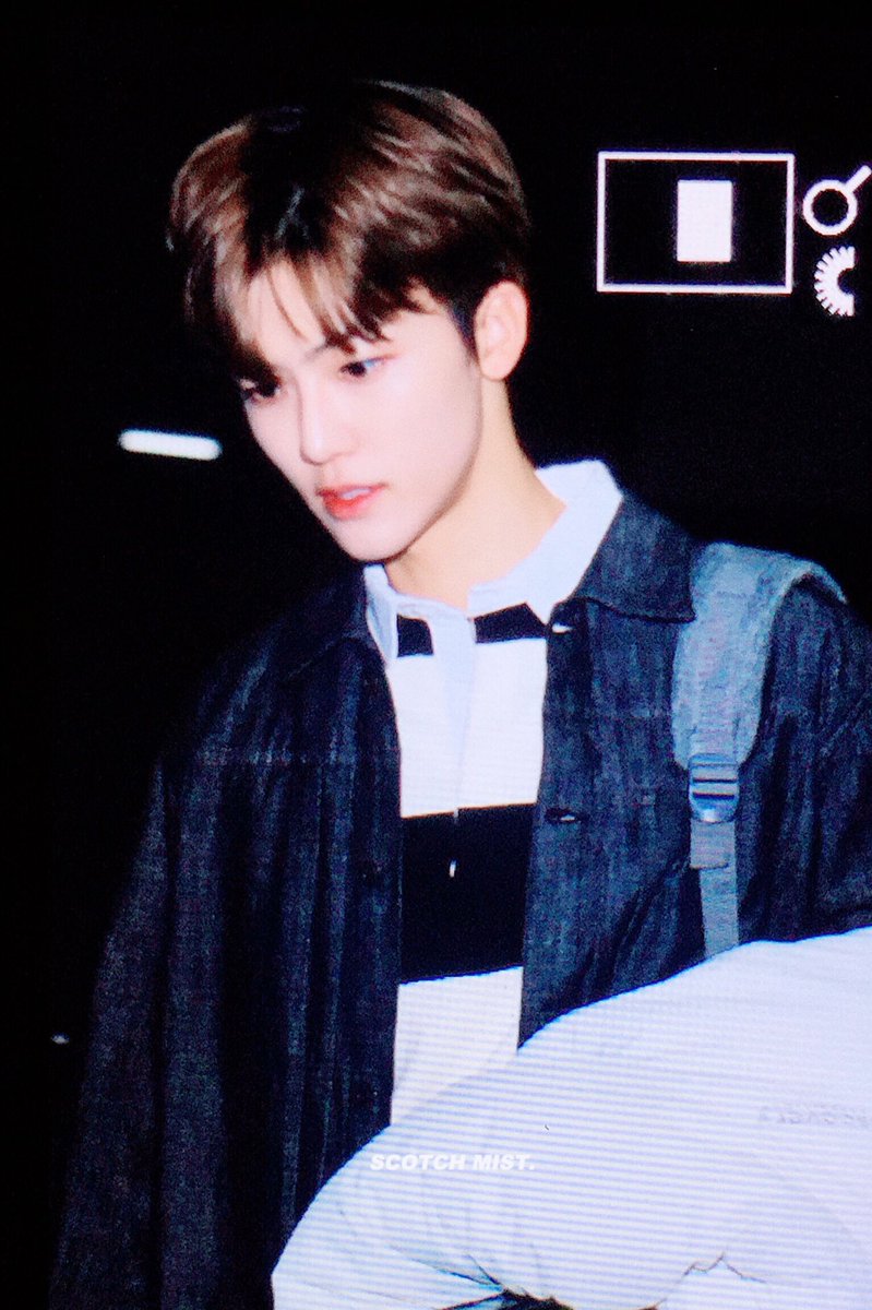 스코치미스트🌫 tweet media