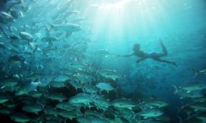 parentsincharge's tweet photo. The science stories that shook 2018 https://t.co/zYwYjcOf50 https://t.co/J49QMZO4PX