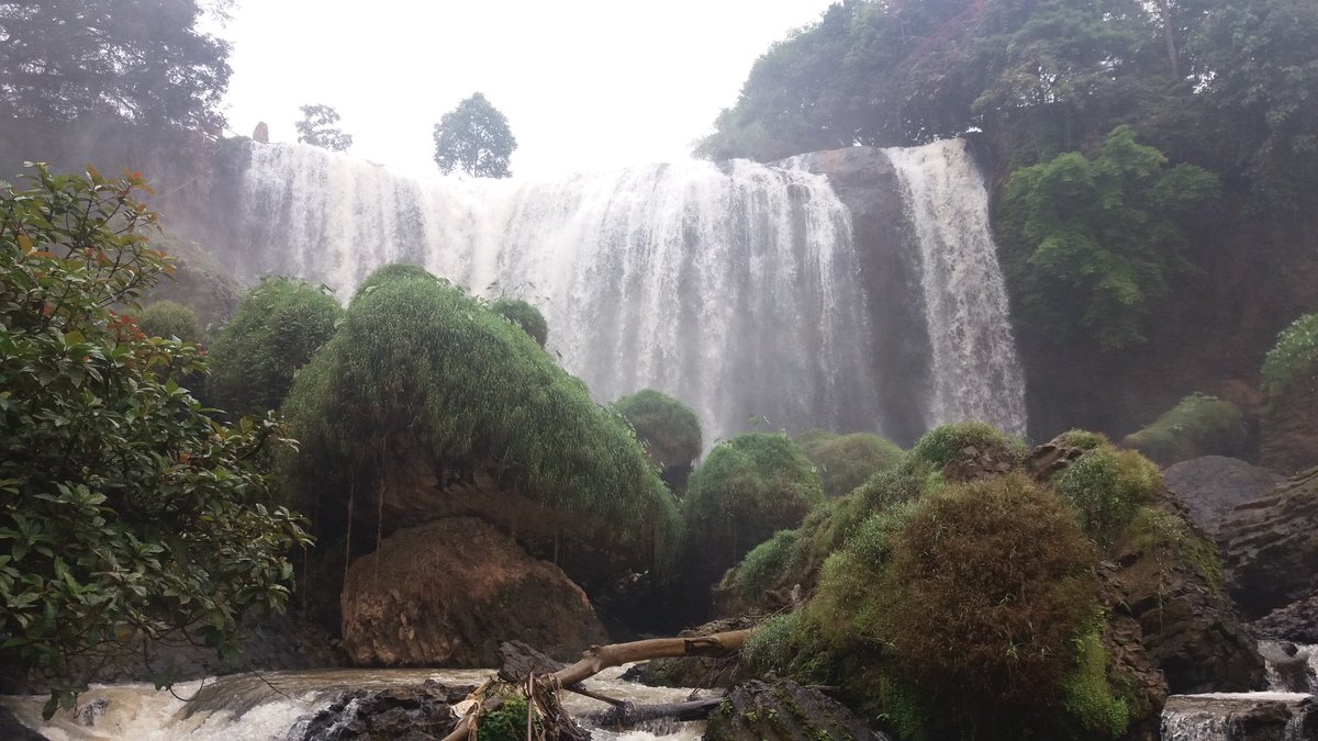 edsardschutte's tweet photo. Wild wild Vietnam https://t.co/T5IIJEGgXY