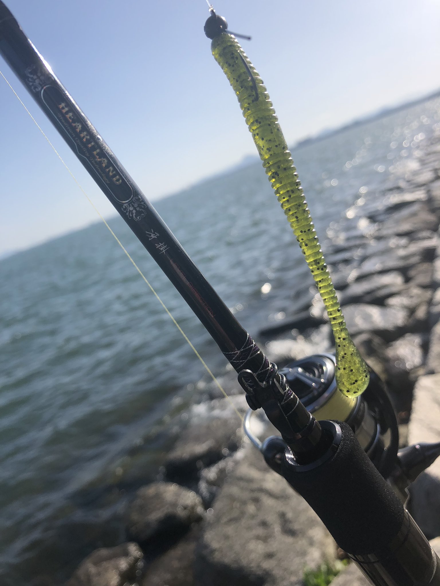 ハートランド 冴掛 Lデレ レベルディレクション ダイワ DAIWA