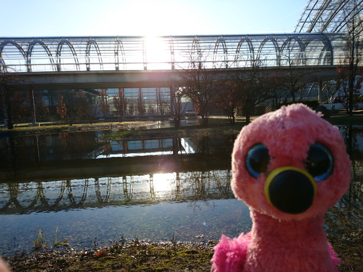 fairlanguage's tweet photo. Sonniges Leipzig ist sonnig. #35C3 #piuatwork https://t.co/saa9Hzs54G