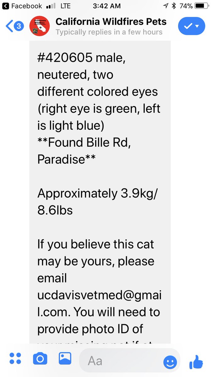 Found cat, white, two colored eyes #Paradise #campfire #campfirepets help find kitty’s owners in memory of the #gilbert23 facebook.com/UCDavisVetMed/… #adopt #foster #save