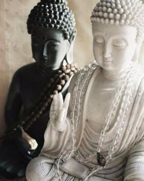 AND WE'RE BACK! Normal hours for us today through Saturday <a href="/youryogastudio/">Hilary Ann Scott</a> we welcome you:

10:00 am - 11:00 am Hot yoga 60 All Levels with Emma 
5:45 pm - 6:45 pm Hot yoga 60 All Levels with Emma
7:00 pm - 8:00 pm Hot yoga 60 All Levels with Charlotte

<youryogastudio.co.uk/timetable-book…>