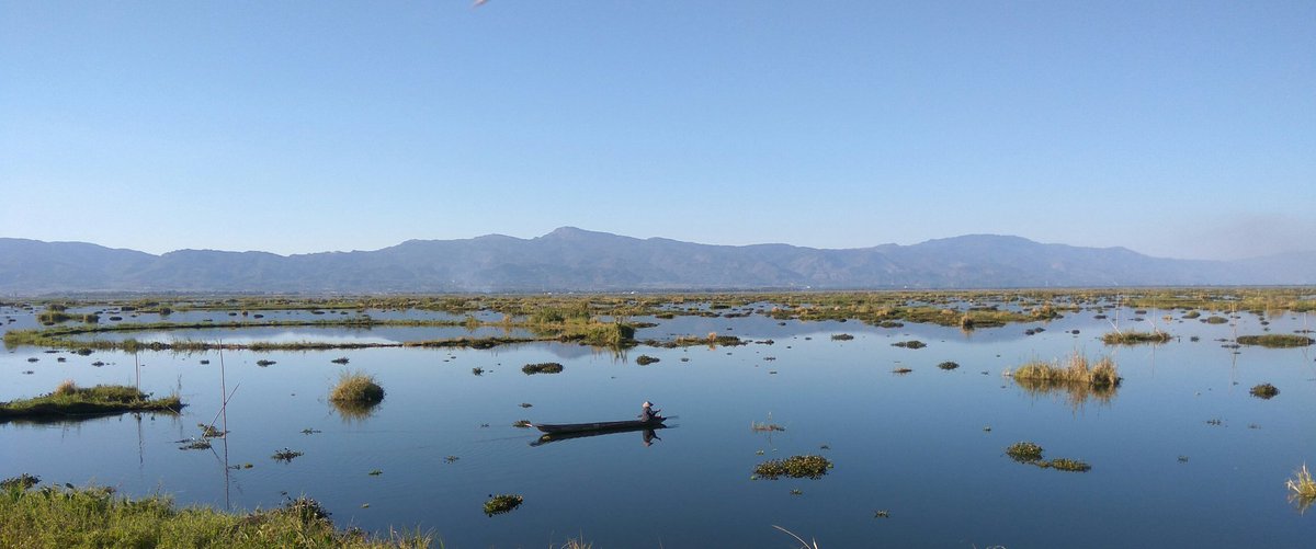 #LoktakLake is the largest fresh water lake in Manipur.
It is famous for the phumdis(heterogenous mass of vegetation).
Located on this phumdis , Keibul Lambai National park is the only floating national park in the world. 
#Manipur #Saveearth #savewetlands