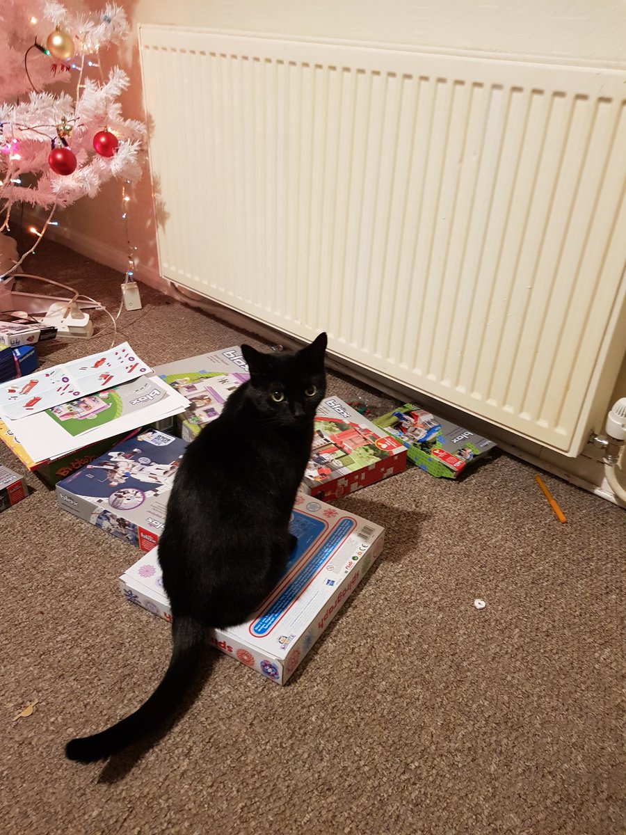 VirtuadminUK's tweet photo. @HoudiniDancing Aww mate I do that when my little friend is at school! But she's off on holiday so I'm wide awake 😹 I sometimes watch my Mum working too, she #transcribes and lucky for me works from home. Enjoy your napping big panther furiend. 😺🐾 https://t.co/wP6cPLoCtx