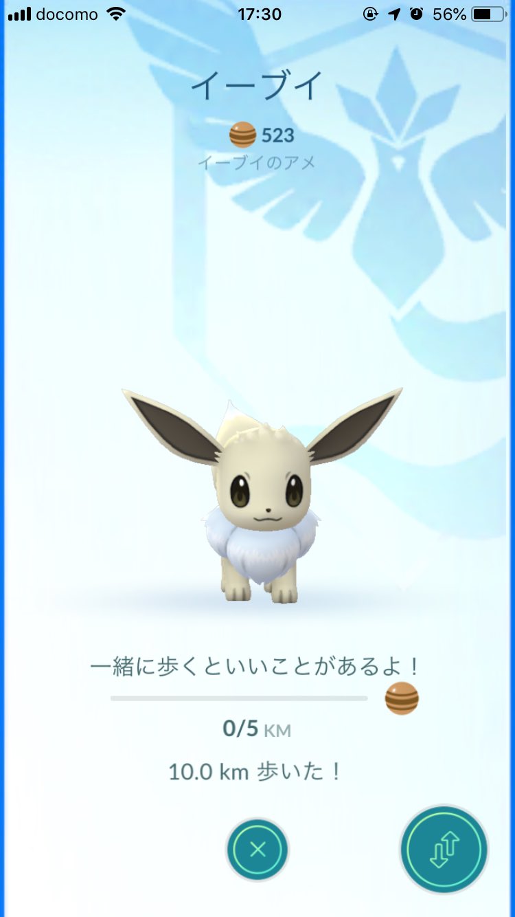 すいたか 色違いイーブイをブラッキーにした 色違いブラッキーかっこいい ポケモンgo イーブイ ブラッキー 色違い T Co Yus5r6bn5v Twitter