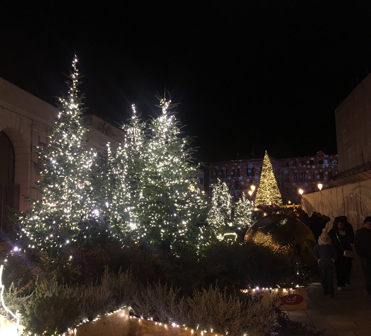 Daniele D'Amico 📱 tweet media