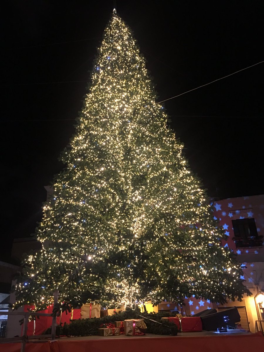 Daniele D'Amico 📱 tweet media