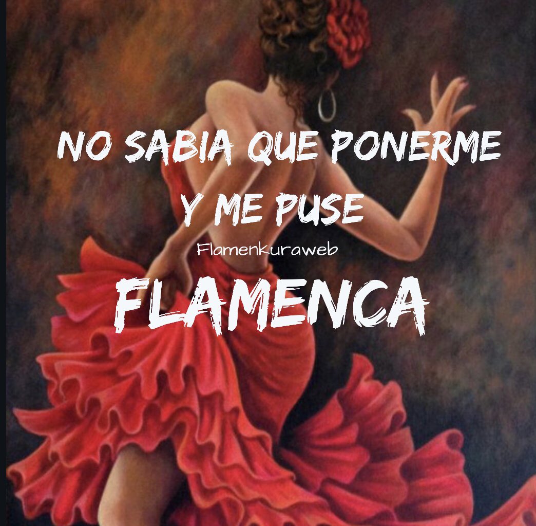 Ponte Flamenca tweet media