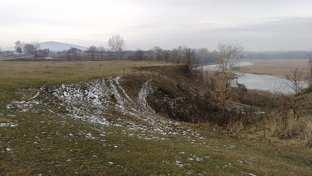 KarolyNagy's tweet image. #Timár morotva