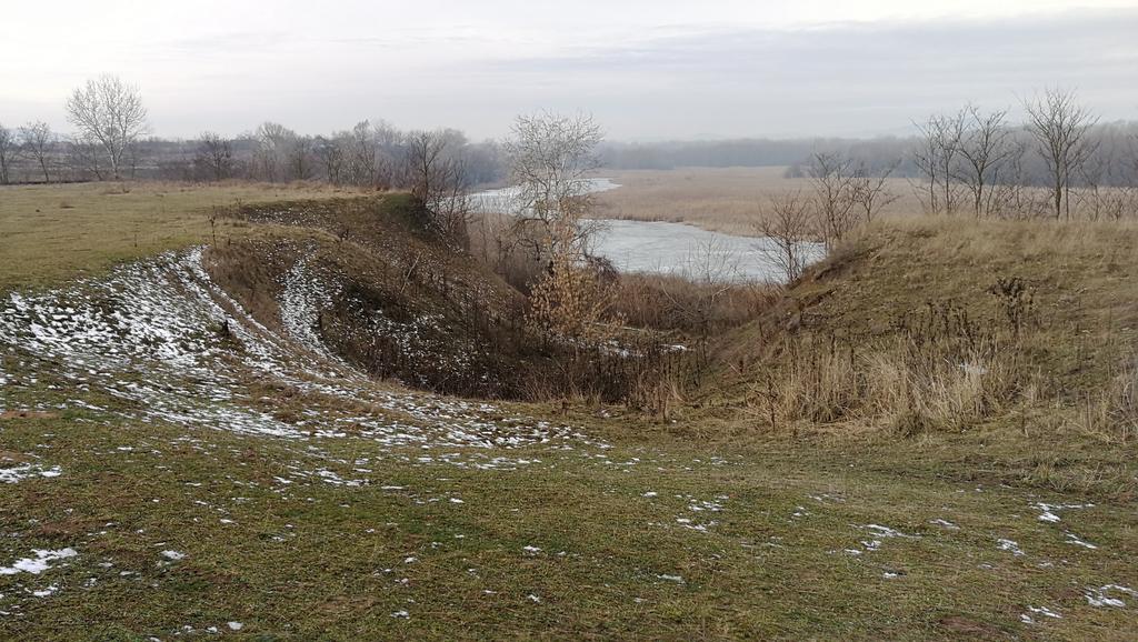 KarolyNagy's tweet image. #Timár morotva