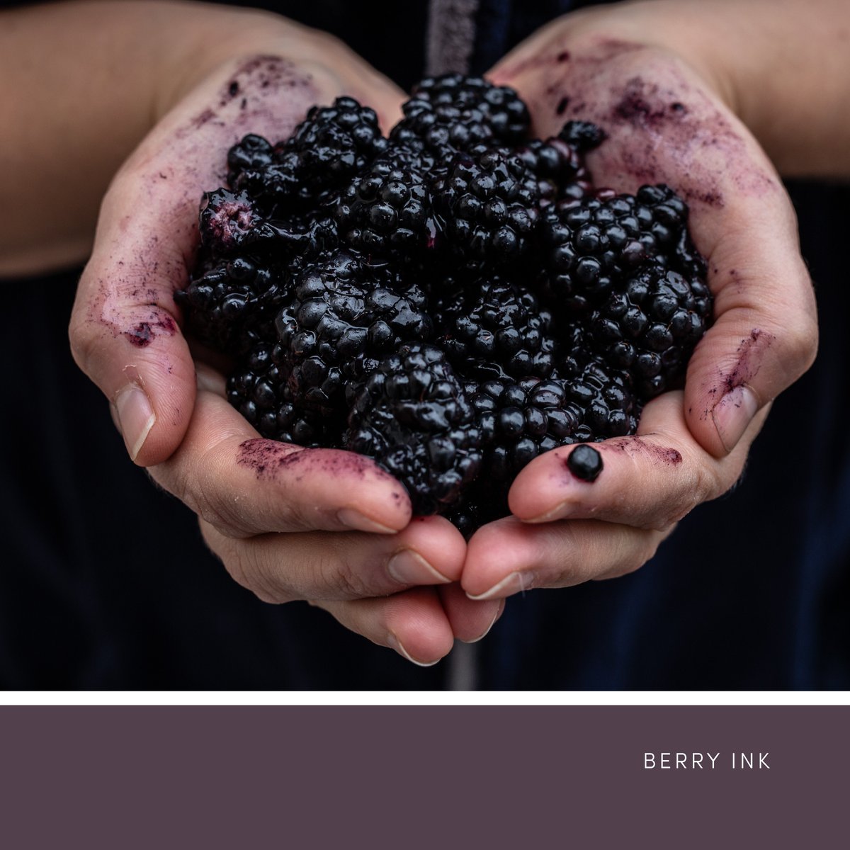 CuratorPaints's tweet photo. As you pick blackberries in autumn, this #BerryInk mulberry tone infuses all it touches. #ThisIsCurator https://t.co/zOyQHwCneW