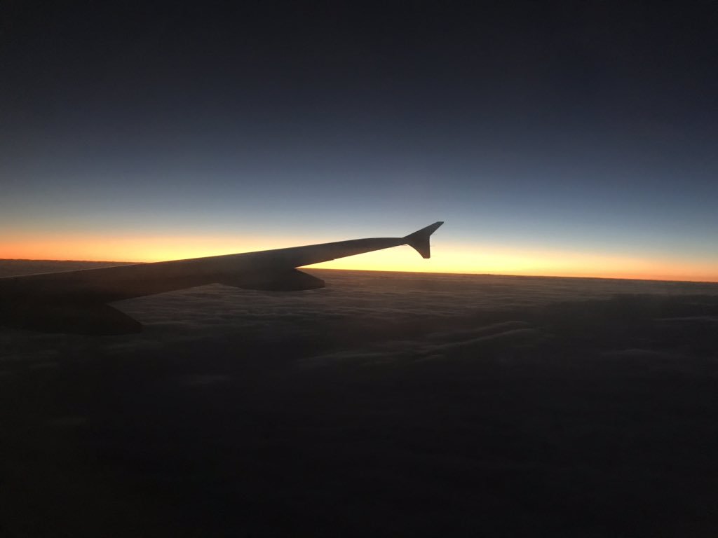firstsnow2017's tweet photo. 스무살이니까, 서른살이라서, 곧 마흔인데. 
시간이라는걸 그렇게 분초로 나눠서 자신을 가두는 종족은 지구상에 인간밖에 없습니다. 
오직 인간만이 나이라는 약점을 공략해서
돈을 쓰고 감정을 소비하게 만들죠...
서른도, 마흔도, 
고양이에겐 똑같은 오늘일 뿐입니다

-드라마,이번생은 처음이라- https://t.co/fSMC3aPYEz