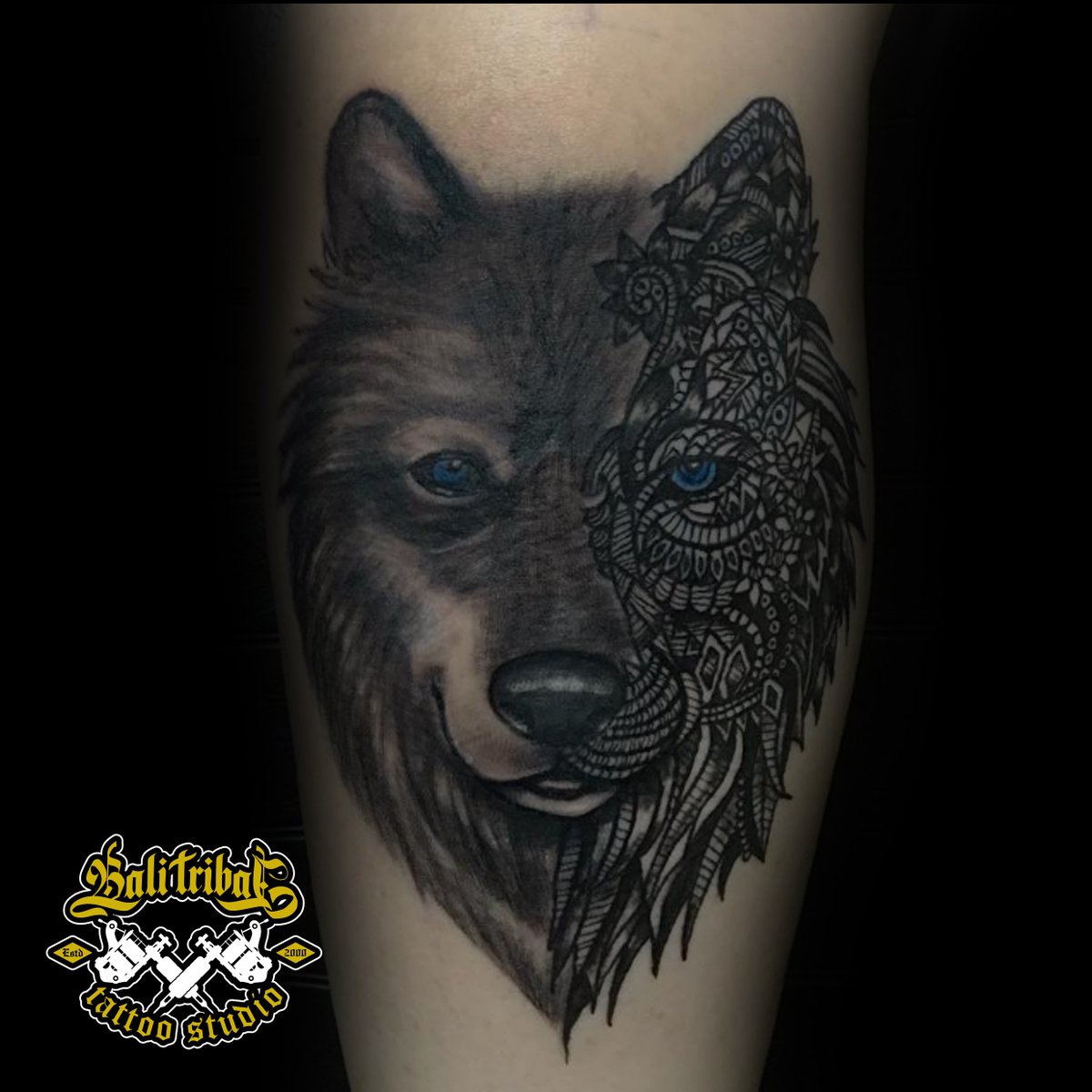 AchfanFelani tweet media