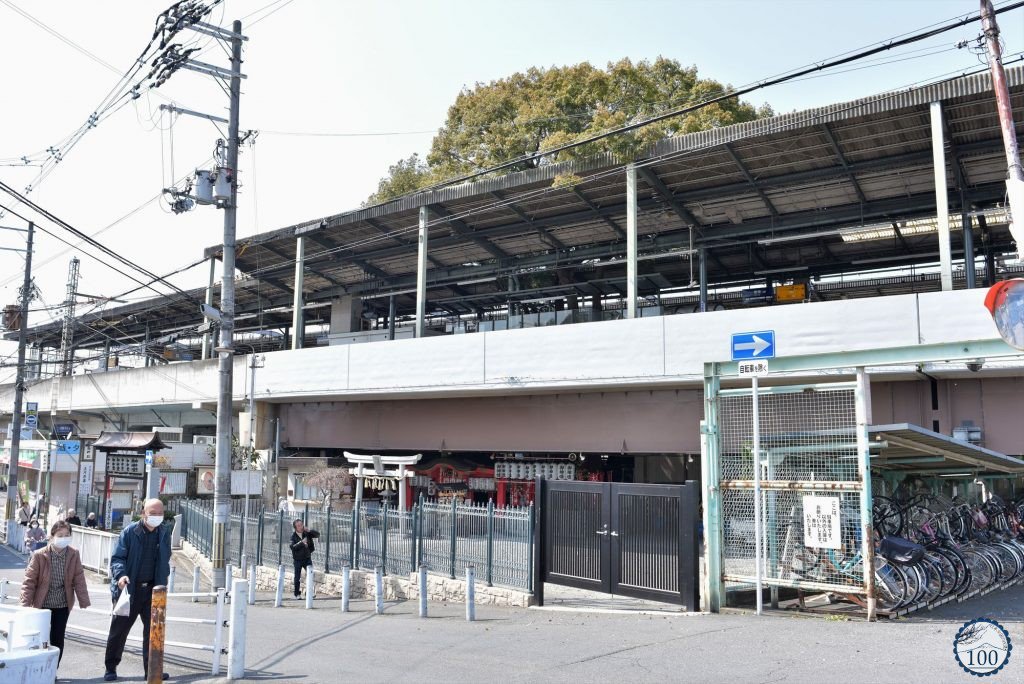 Nipp0n100's tweet photo. [Nouvel article] 🚉🌳⛩ Le camphrier de Kayashima, à Osaka, n'est rien de moins qu'un majestueux végétal de plus de 700 ans autour duquel s'est construit une gare... avec un petit sanctuaire sous les voies ferrées ! 
-> https://t.co/gRg87MDFhS https://t.co/nJq3o0Lndd