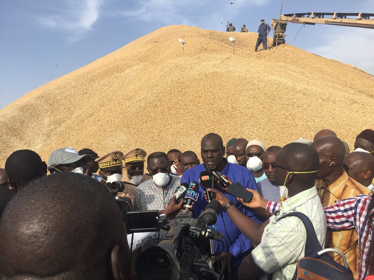aliaskaw's tweet photo. Le MAER en tournée à Kaolack et Fatick, les Opérateurs ont exprimé leur satisfecit quant au bon déroulement de la campagne de commercialisation de l’arachide. #PRACAS en marche. #Kebetu @PR_Senegal @Macky_Sall @DrPapaAbdoulaye @PapaAbdoulayeS8 @elhadjkasse https://t.co/1nrNvXmUcC
