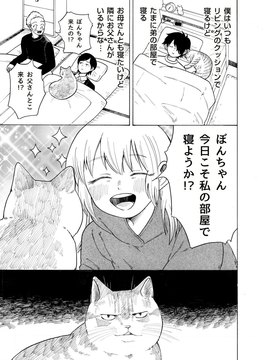 石田 万 Di Twitter 猫とお姉ちゃんの漫画 その8 いっしょに寝たい 石田 万 Di Twitter 猫とお姉ちゃんの漫画 その8 いっしょに寝たい