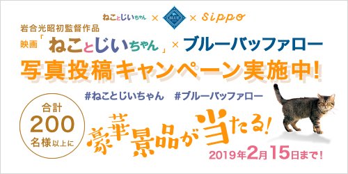 ねことじいちゃん 映画 写真展公式 V Twitter 映画 ねことじいちゃん ブルーバッファロー 写真投稿キャンペーン実施中 抽選で映画鑑賞券 岩合監督サイン入り写真集 ブルーバッファローペットフードなど豪華賞品が当たります 詳しくはこちら