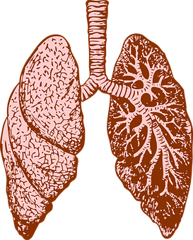 ICCTP2018's tweet photo. Combination drug therapy overcomes drug-resistant lung cancer in the lab
https://t.co/2NJrO8fRJv
#drugtherapy #drugresistant #lungcancer #conference #congress @Harvard_Tox  @PharmDrugood @BrJPharmacol https://t.co/DwvqLnANZn