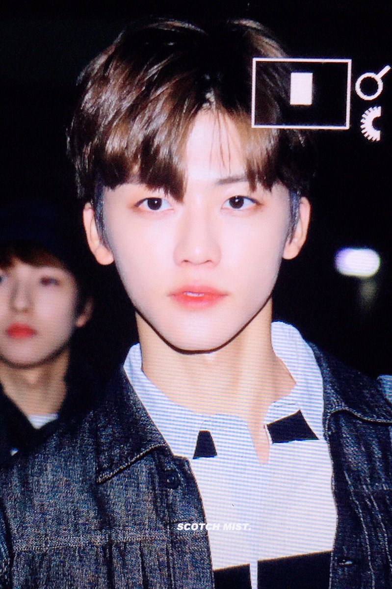 스코치미스트🌫 tweet media