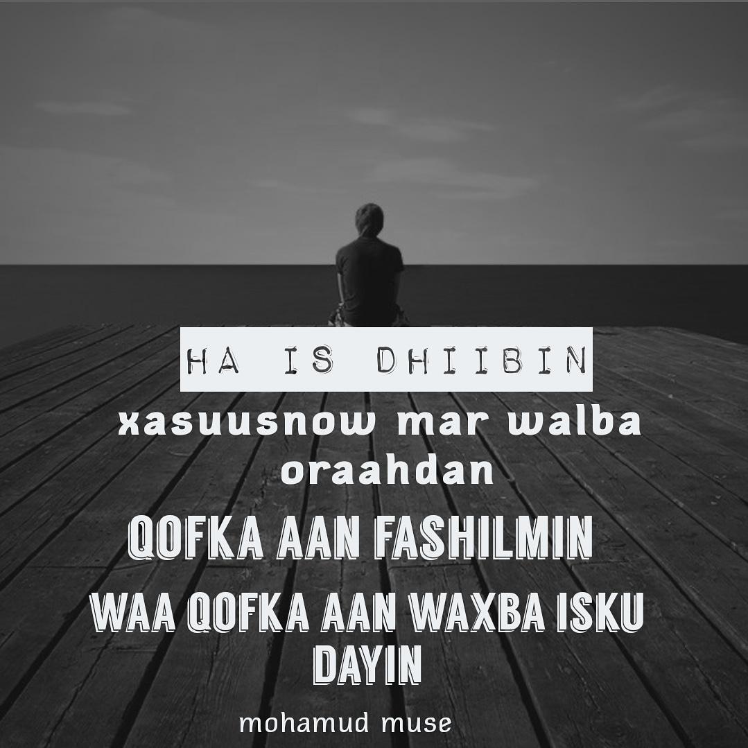 max mosses tweet media